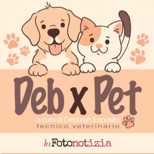 debxpet